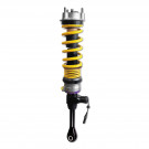 KW HLS 4 INC. DDC COILOVER KIT